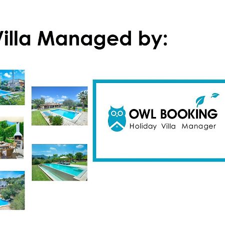 Owl Booking Villa Penaso - Dream Pool And Royal Garden 波连斯萨 外观 照片